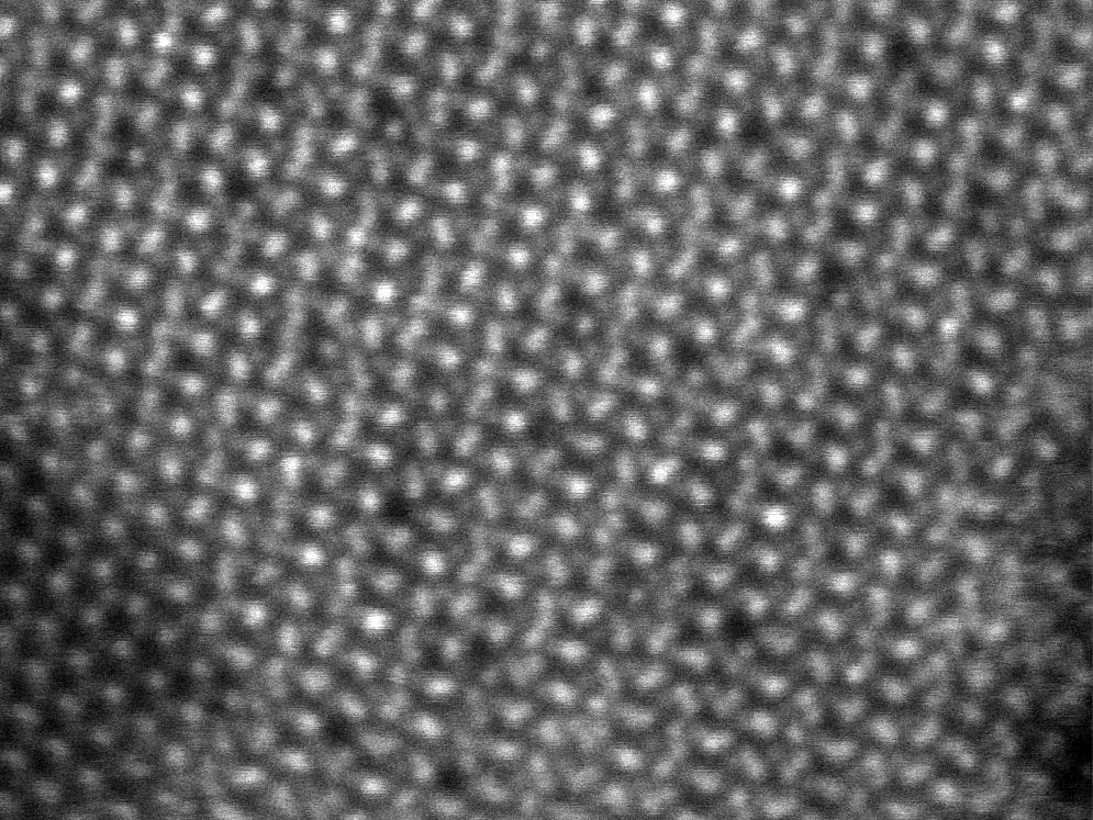 electron microscopy example aligned pdse lattice