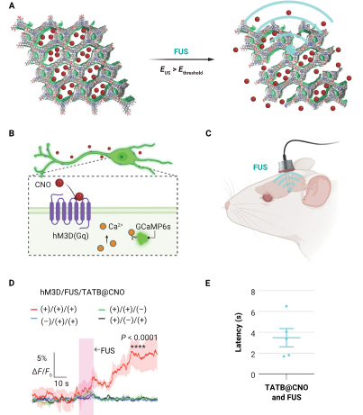 Screenshot 2025 09 16 104949