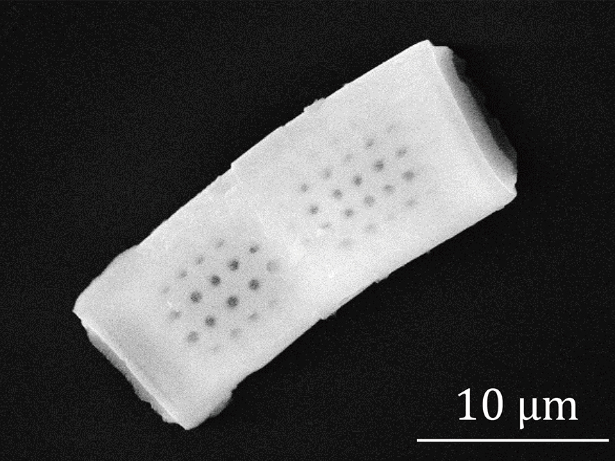 nanosensor2