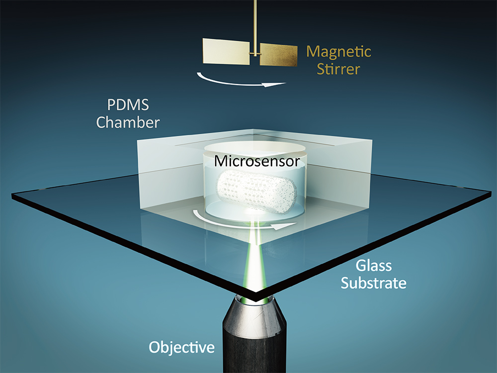nanosensor3