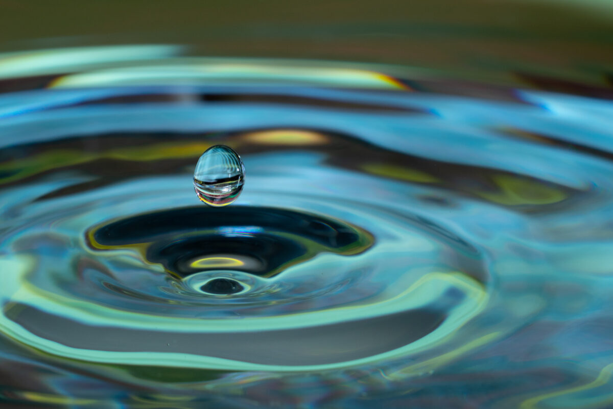 water drop large guihua yu